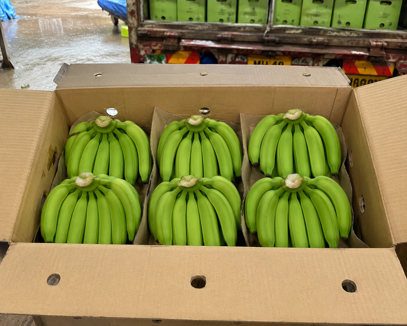 Banana Export India