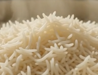 Basmati Rice