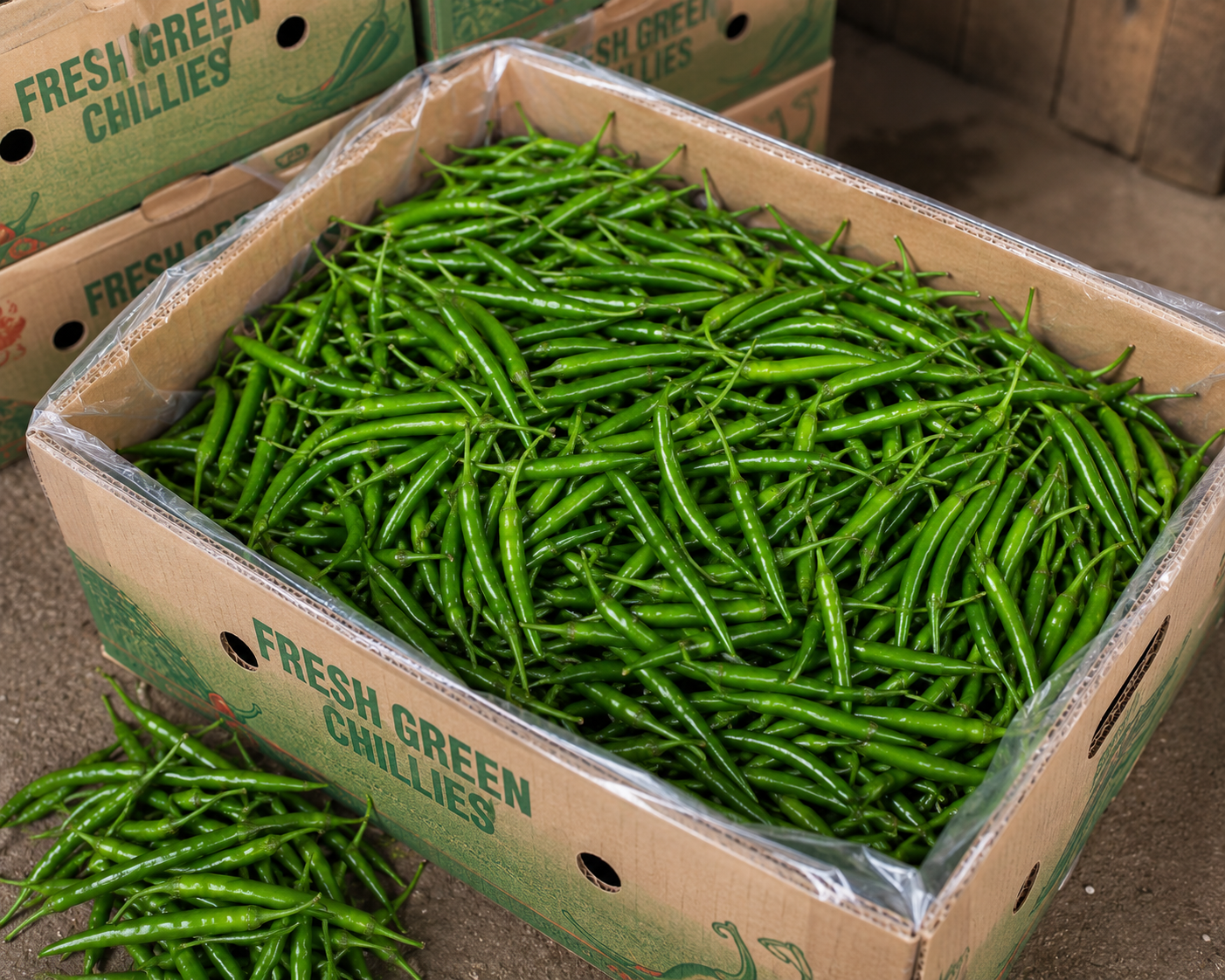 Green Chilli Export India
